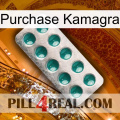 Purchase Kamagra dapoxetine1